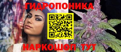 эйфоретик Будённовск