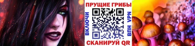 Галлюциногенные грибы GOLDEN TEACHER  как найти   Долгопрудный 