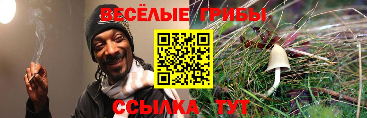 как найти закладки  Вход с VPN  Псилоцибиновые грибы Magic Shrooms  Долгопрудный  Галлюциногенные грибы GOLDEN TEACHER 